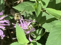 View photo in a new window