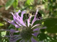 View photo in a new window