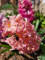 View photo in a new window