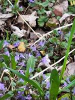 View photo in a new window