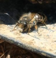 View photo in a new window