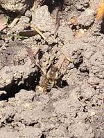 View photo in a new window