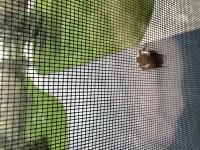 View photo in a new window