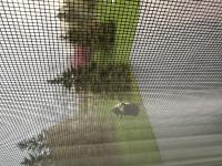 View photo in a new window