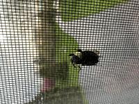 View photo in a new window