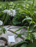 View photo in a new window