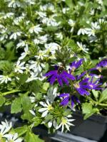 View photo in a new window