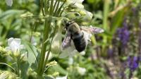View photo in a new window