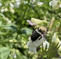 View photo in a new window