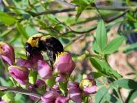 View photo in a new window