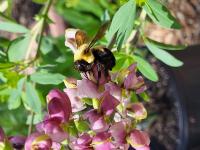 View photo in a new window