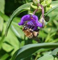 View photo in a new window