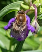 View photo in a new window