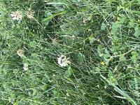 View photo in a new window