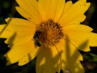 View photo in a new window