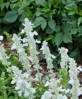 View photo in a new window