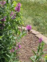 View photo in a new window