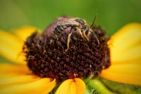 View photo in a new window