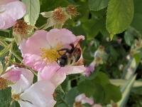 View photo in a new window