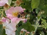 View photo in a new window