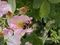 View photo in a new window