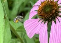 View photo in a new window