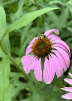 View photo in a new window