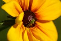 View photo in a new window