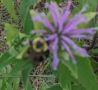 View photo in a new window