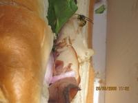 View photo in a new window