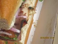 View photo in a new window