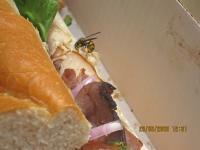 View photo in a new window