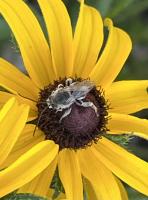 View photo in a new window