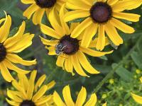 View photo in a new window