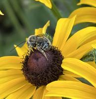 View photo in a new window