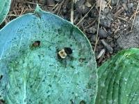 View photo in a new window