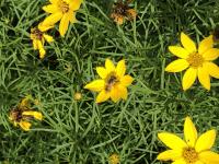 View photo in a new window