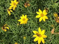 View photo in a new window