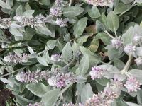 View photo in a new window