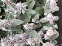 View photo in a new window