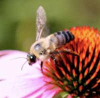 View photo in a new window