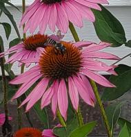 View photo in a new window