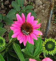 View photo in a new window