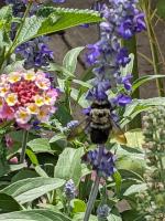 View photo in a new window