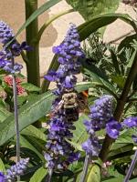 View photo in a new window