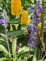 View photo in a new window