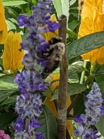 View photo in a new window