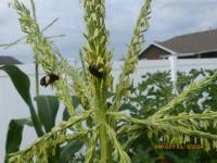 View photo in a new window