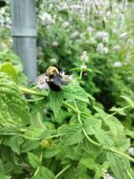 View photo in a new window