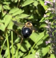 View photo in a new window